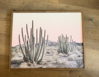 Desert Cactus Canvas Print, 31 x 25 wood frame