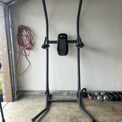 Pull Up/ Dip Station 