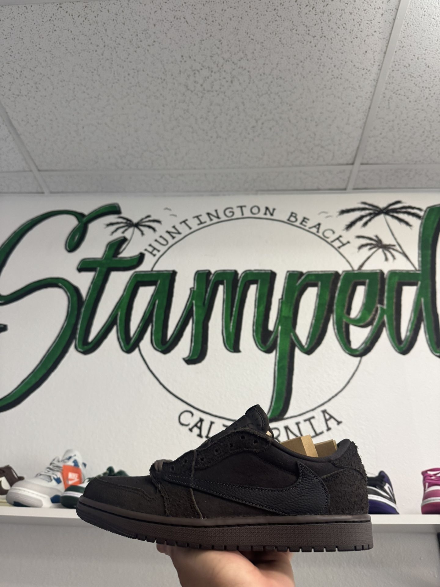 Jordan 1 Low Travis Velvet