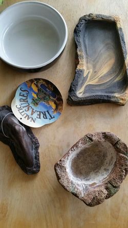 Reptile or terarium dishes, decor