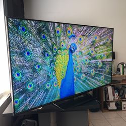 50 Inch Insignia 1080 60 Hz