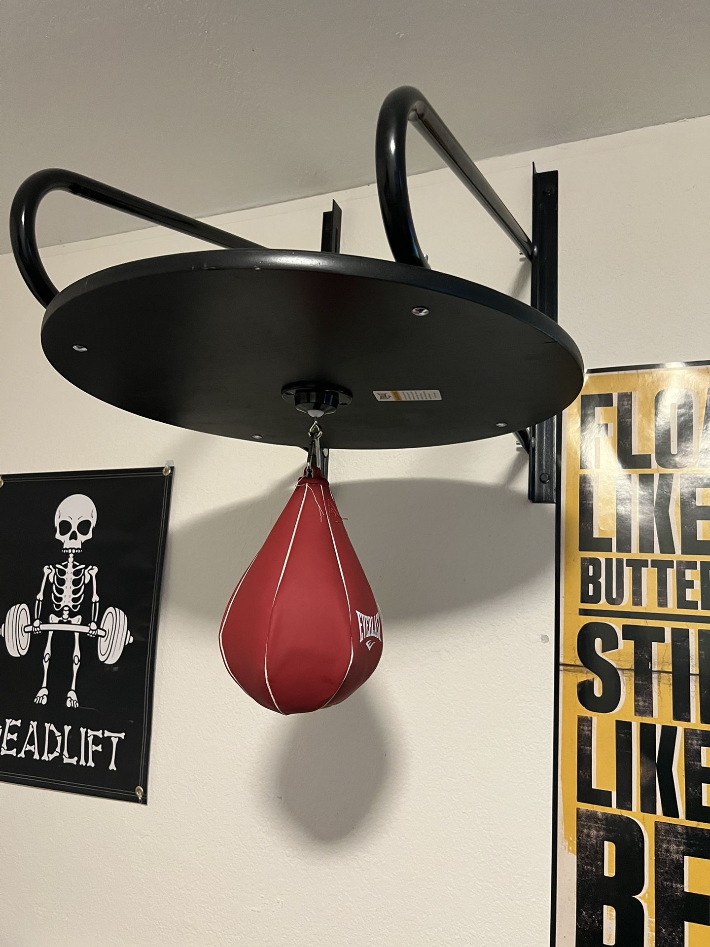 Speed Bag With Wall Mount