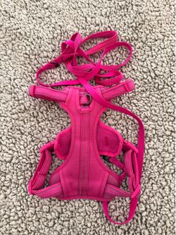 Pink harness dog