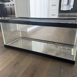 20 Gallon Terrarium 
