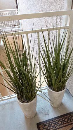 Tall artificial Grass Plants in White Planters – Set of 2