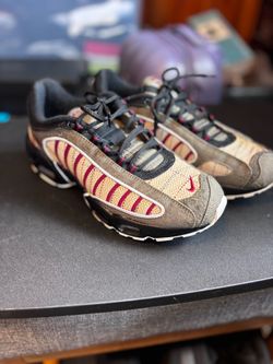 Air Max Tailwind