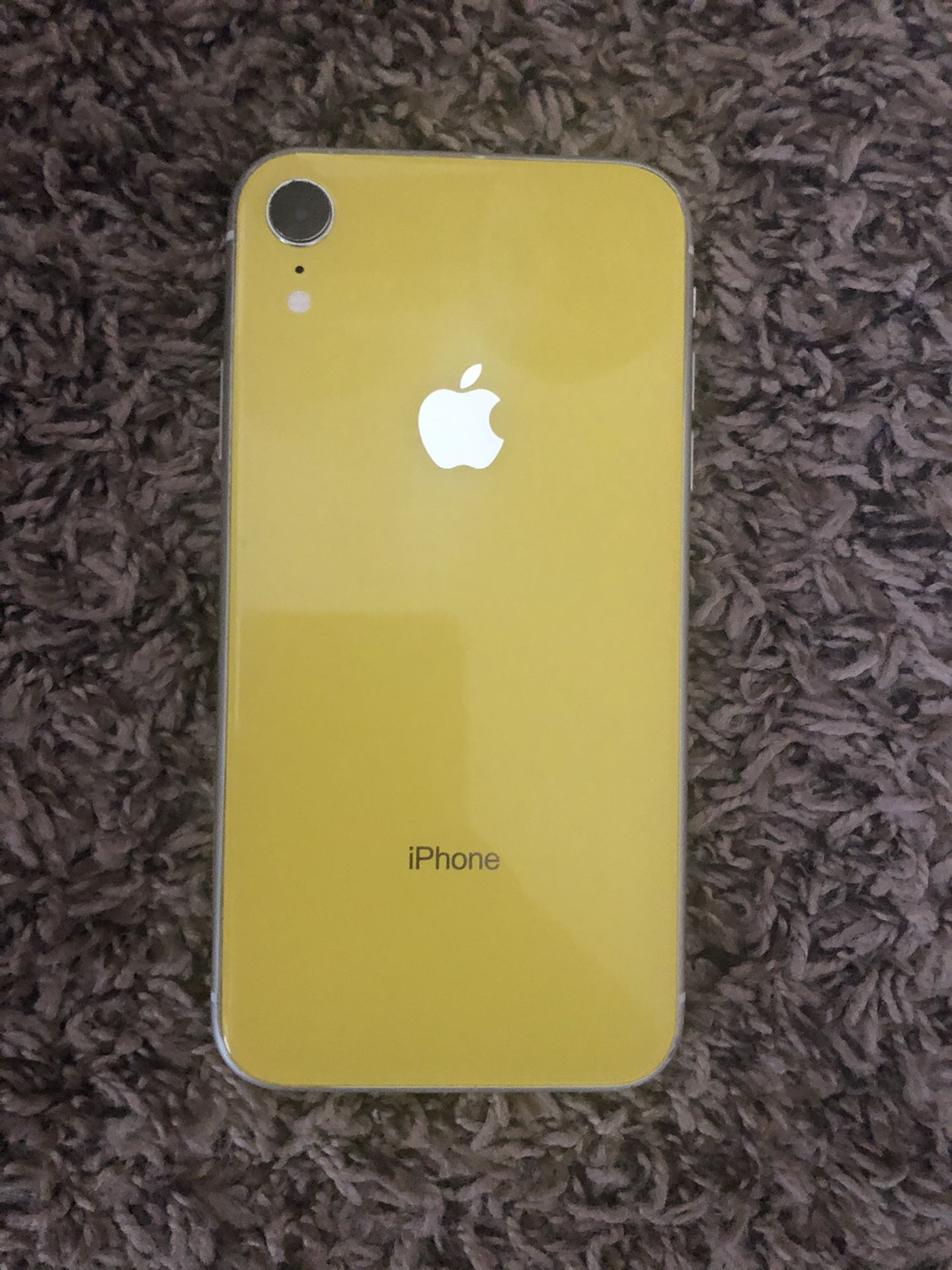 iphone xr ( with cases )