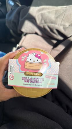 UNOPENED HELLO KITTY DUMPLING SQUISHY