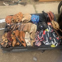 Various baseball and softball gloves
