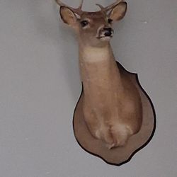 Deer Head