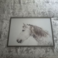 Horse Picture Wall Decor