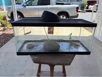 20 gallon reptile aquarium.