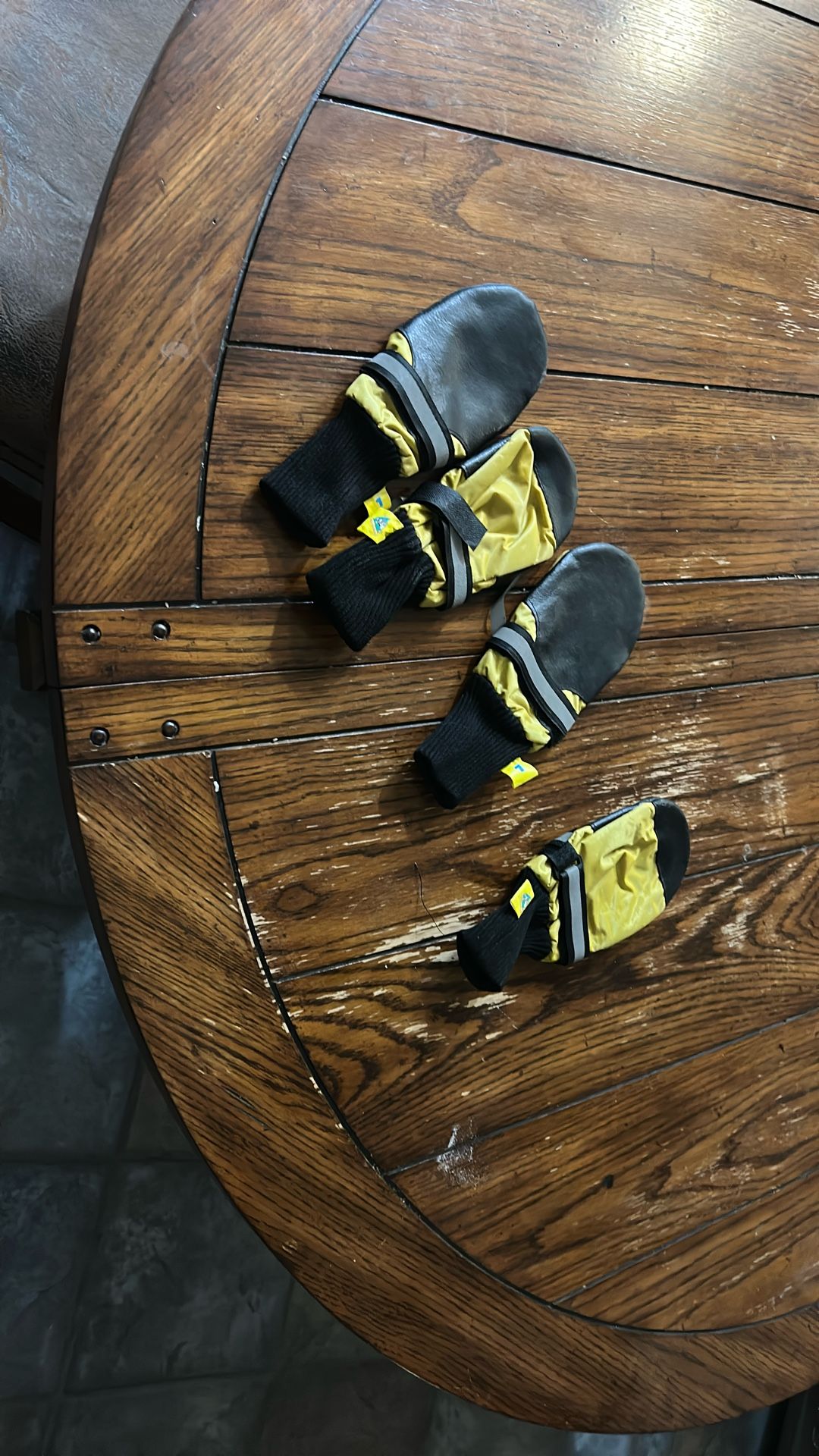 Doggie Boots