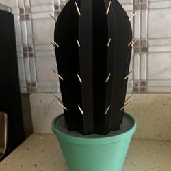 Toothpick Cactus
