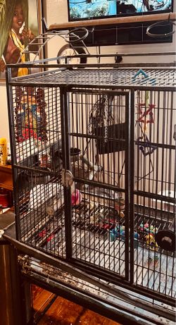 parrot cage only