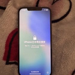 iPhone 12 Pro Max iCloud Locked
