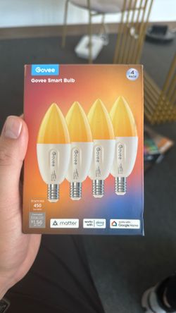 Govee smart bulb