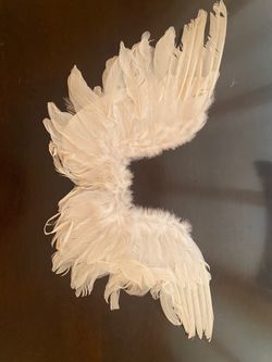 White Angel Wings