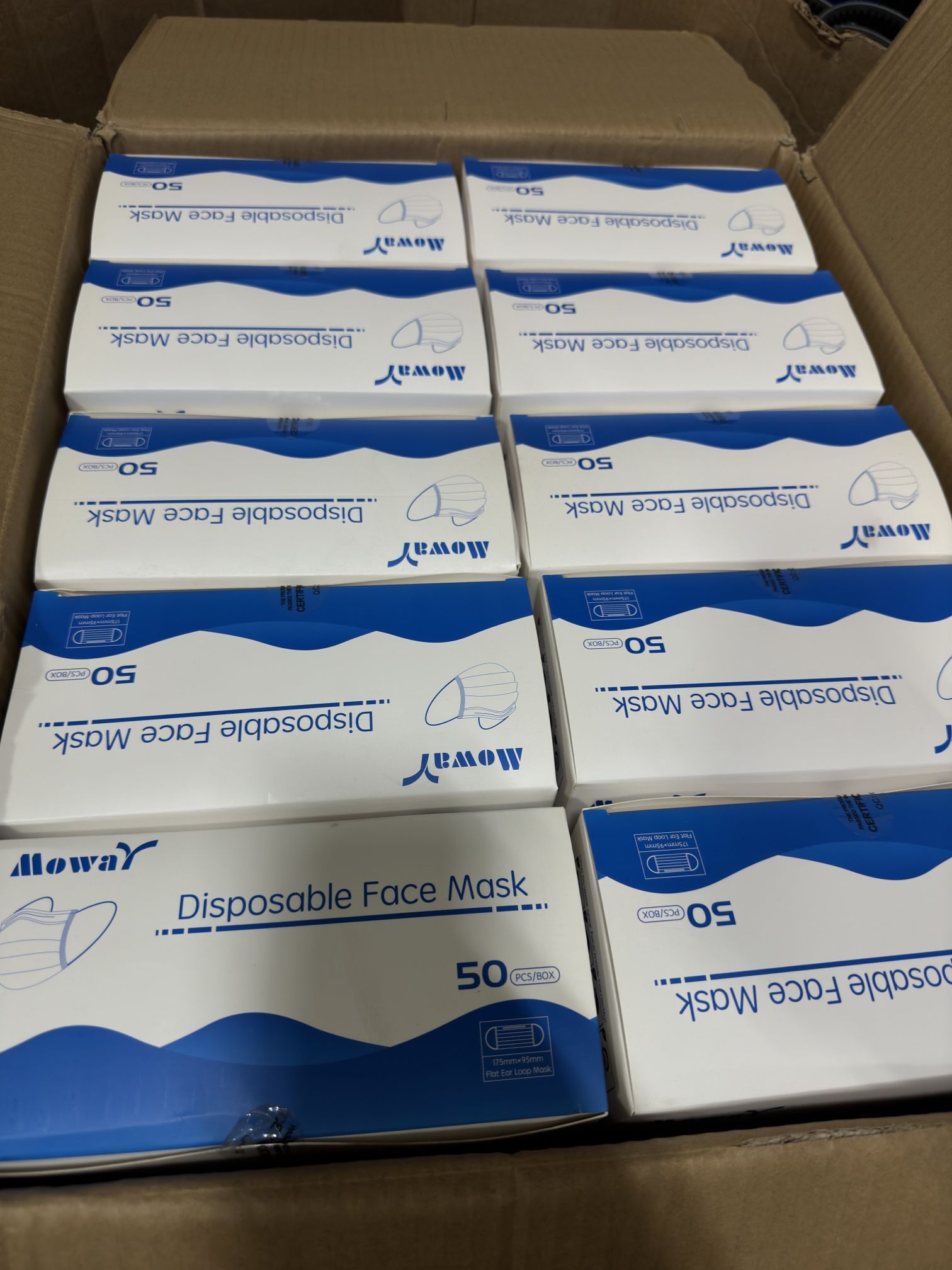 Disposable Face Masks