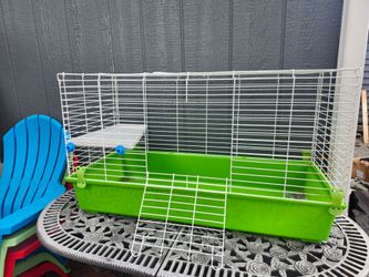rabbit house