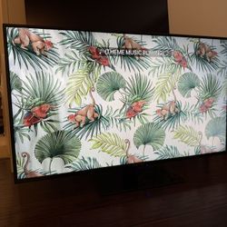 Sceptre Brand 50” Full HD (1920x1080) TV