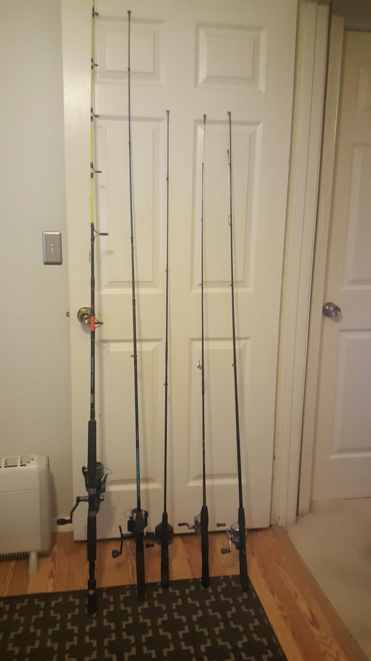 5 fishing rods/reels and 3 separate reels