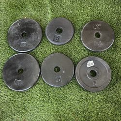 6 Weights Discs   