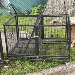 Puppy Breeding Cages