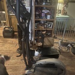 Eclipse 1000HR Elliptical Trainer