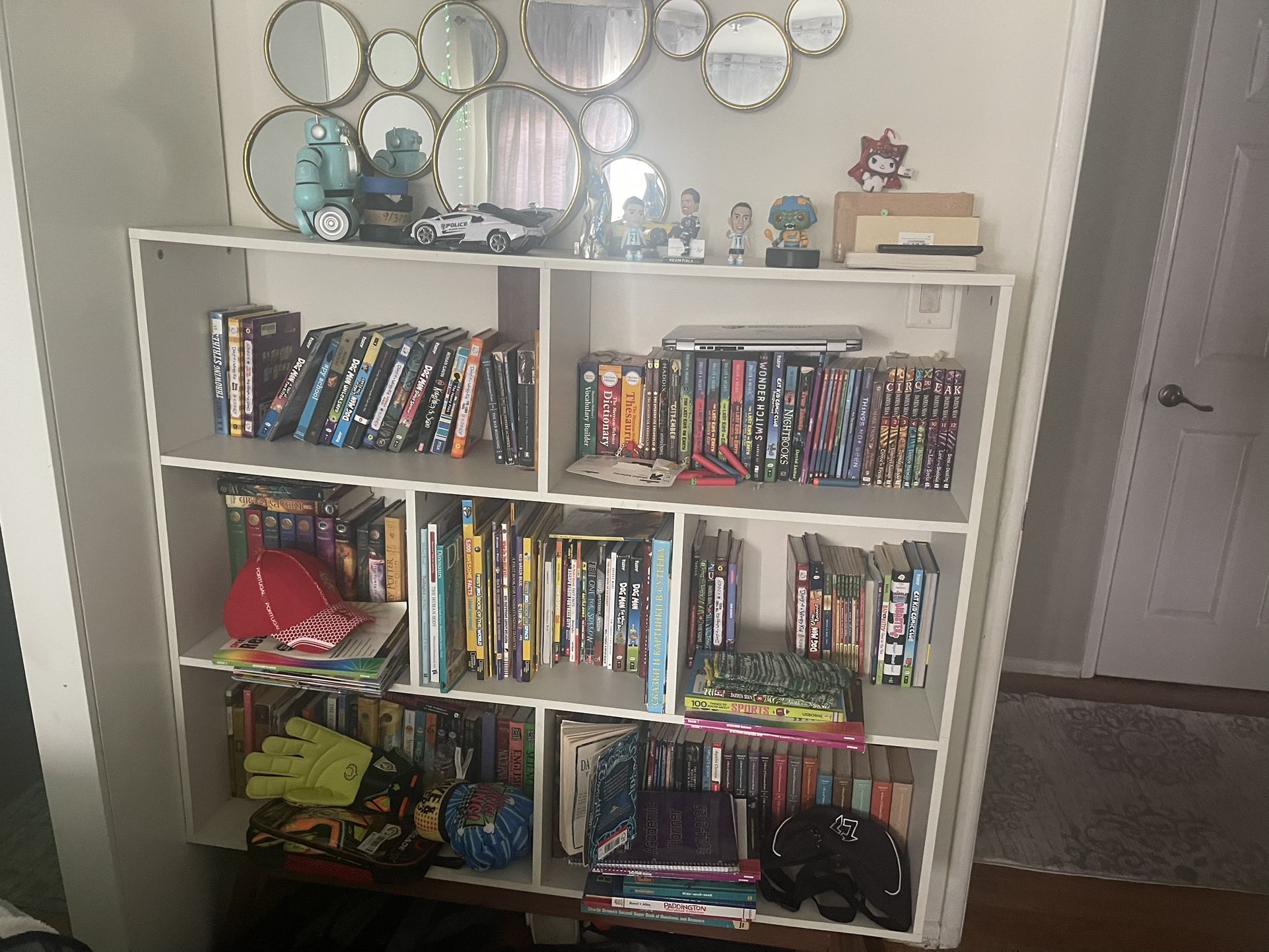 Bookshelves and Mirrors