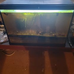 Aquarium Tank