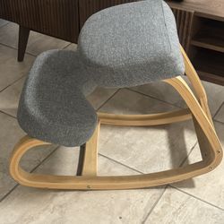 ergonomic Desk Chair