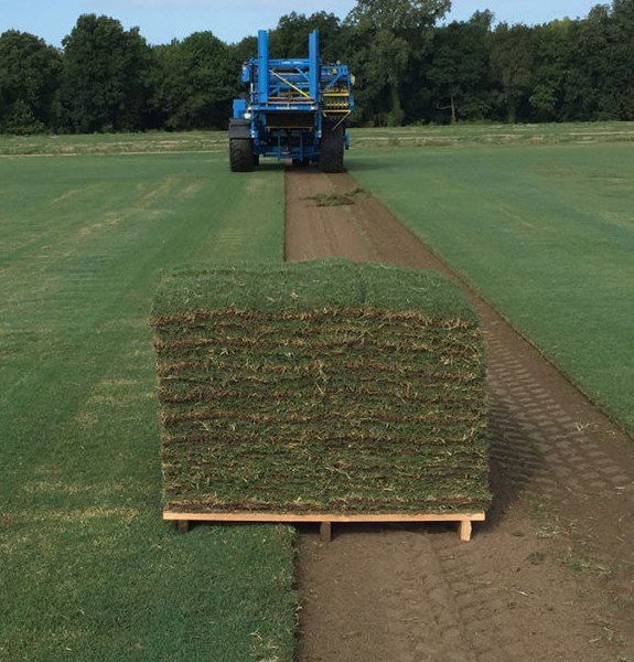 Grass Installation