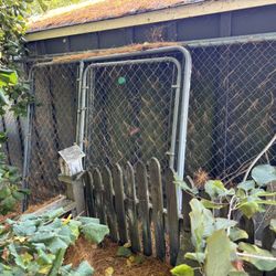 Dog Kennel