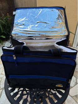 California Innovations Insulated Cooler Bag