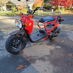 2003 Honda Ruckus