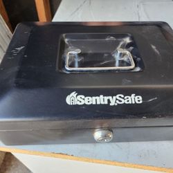 Sentry Safe Cash Box