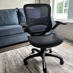 Ergonomic Office Chair