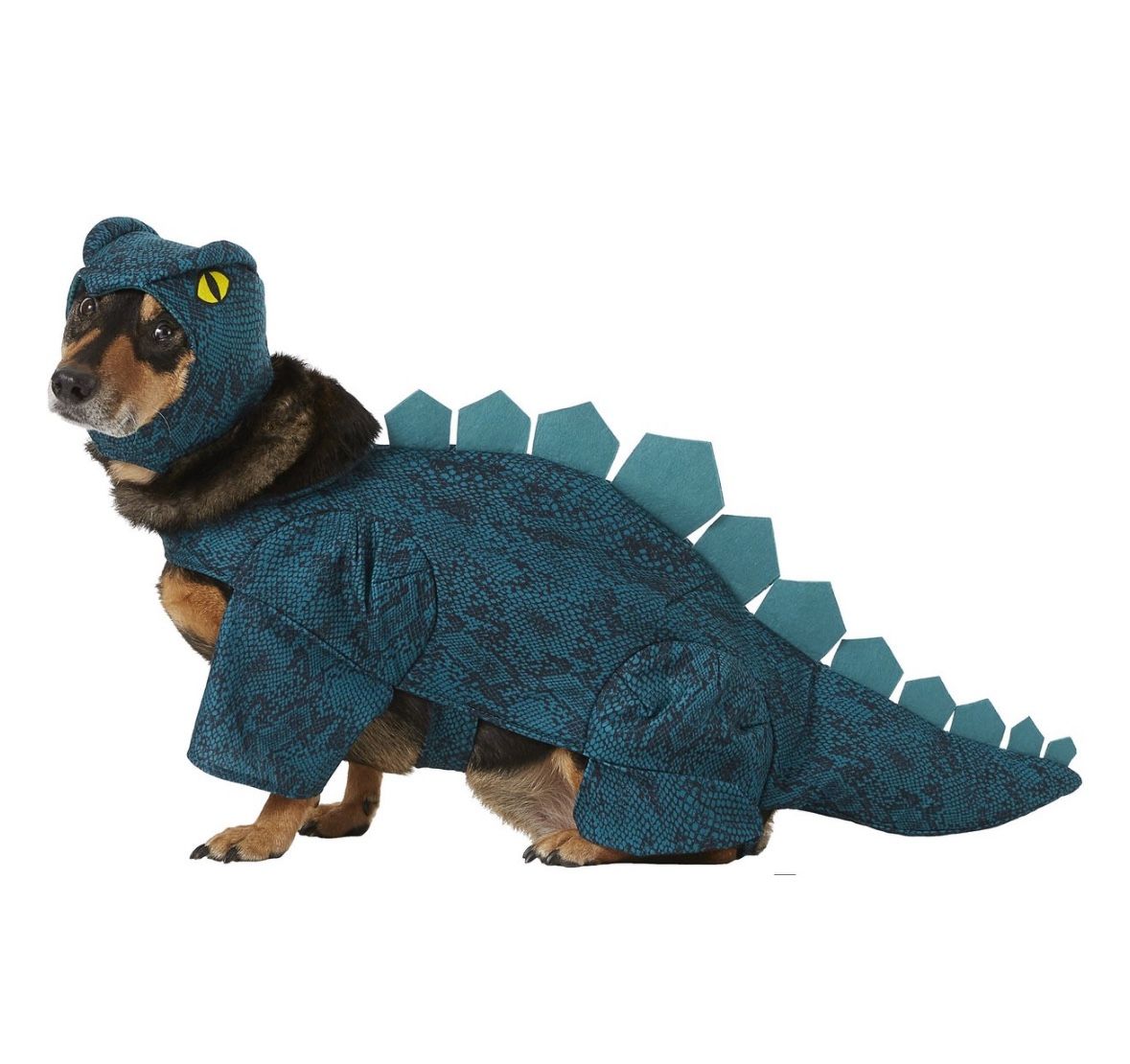 Dog dinosaur Costume