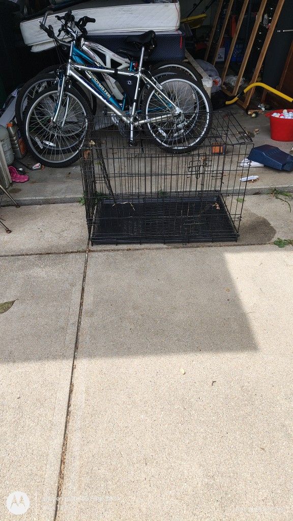 Dog Cage