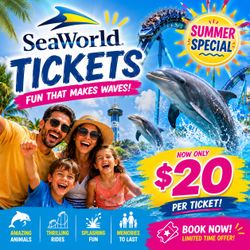 🎢🌊 SeaWorld San Diego Tickets – Summer Special! ☀️🐬