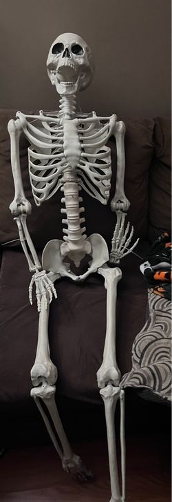 Skeleton