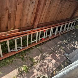 24 FT LADDER