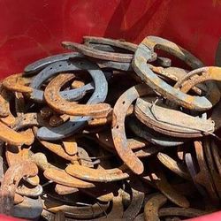 Old horse shoes