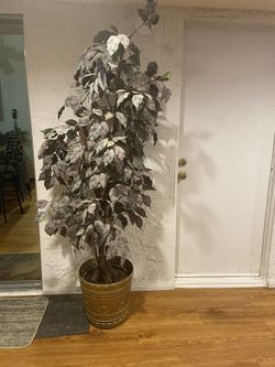 Indoor Decoration Tree About 5.5 Feet ,