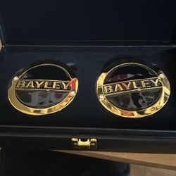WWE Bayley Title Side Plates 