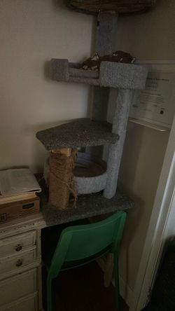 Cat Play Structure