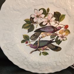 Alfred Meakin Birds of America 9” Plate Band Tailed Pigeon #367 

Made In England