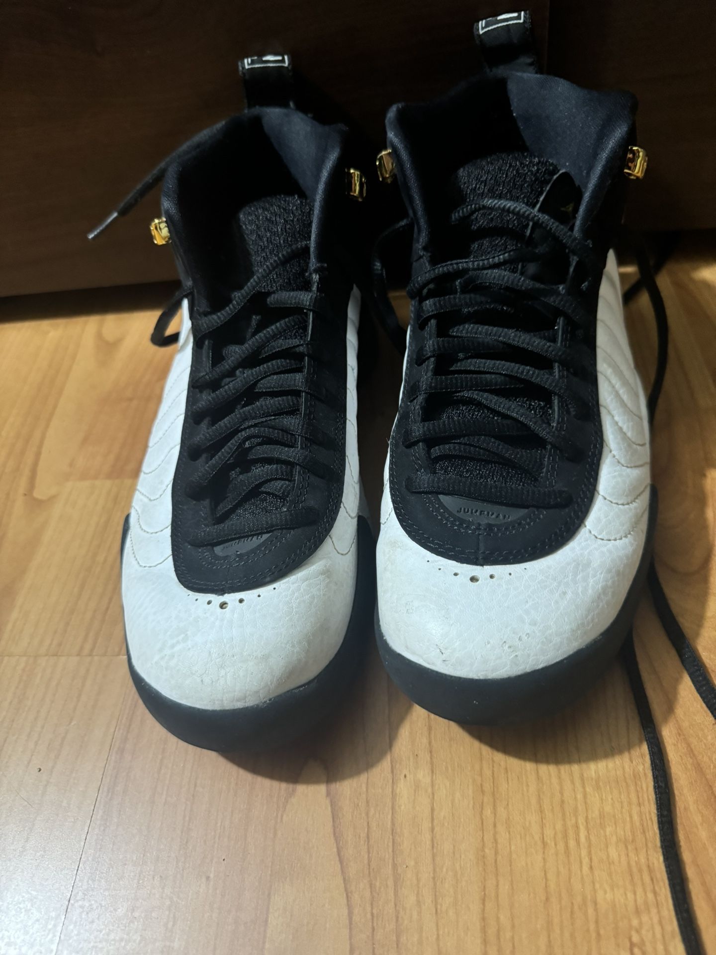 Air Jordan 12