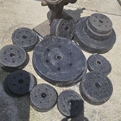barbell weights of different weights, several pairs